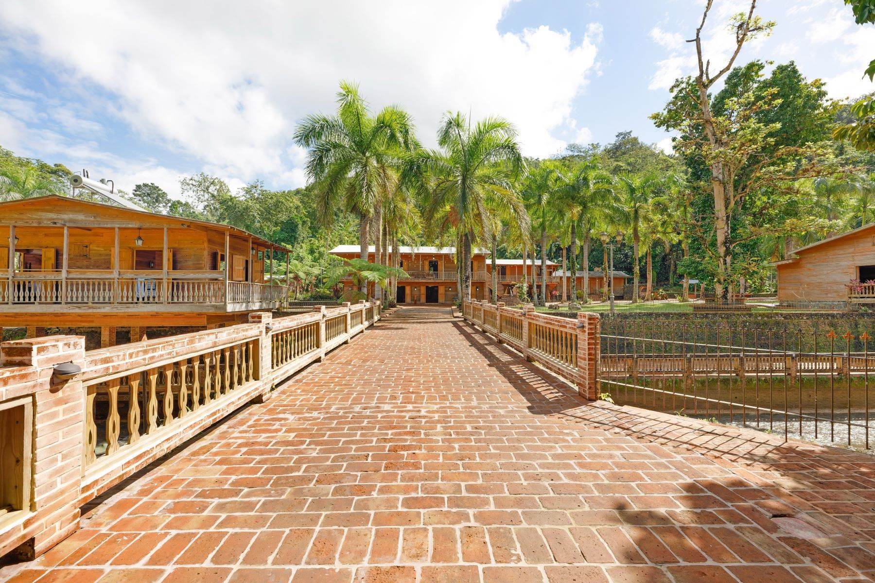 8. Farm and Ranch Properties for Sale at Historic Coffee Hacienda in Lares Hacienda Lealtad, Carr. 431 Km 1.7 Lares, 00669 Puerto Rico
